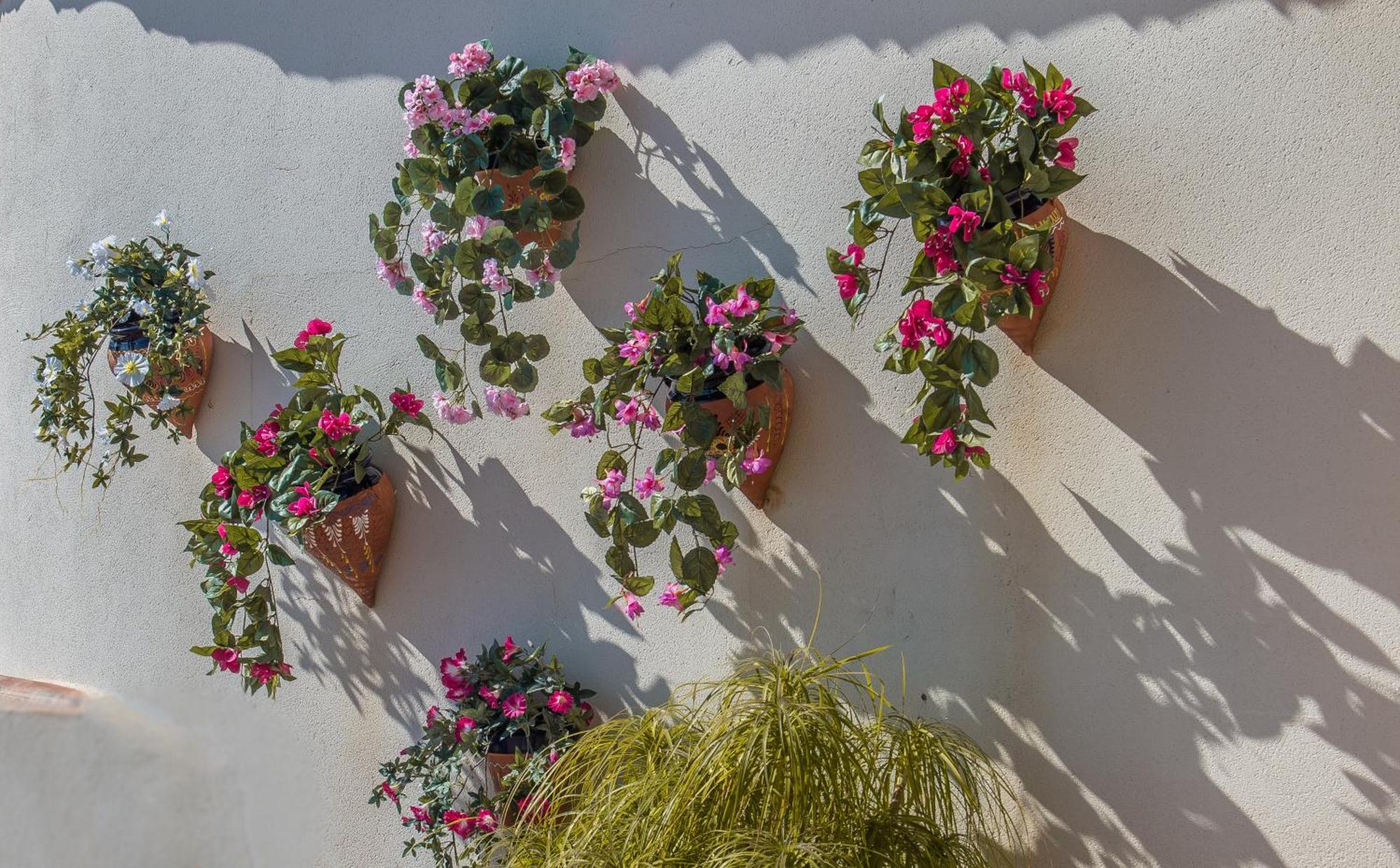 Bed and Breakfast El Pajarero Arenas  Exterior foto