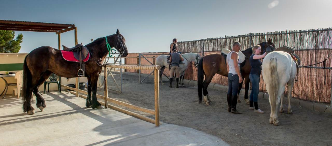 Bed and Breakfast El Pajarero Arenas  Exterior foto